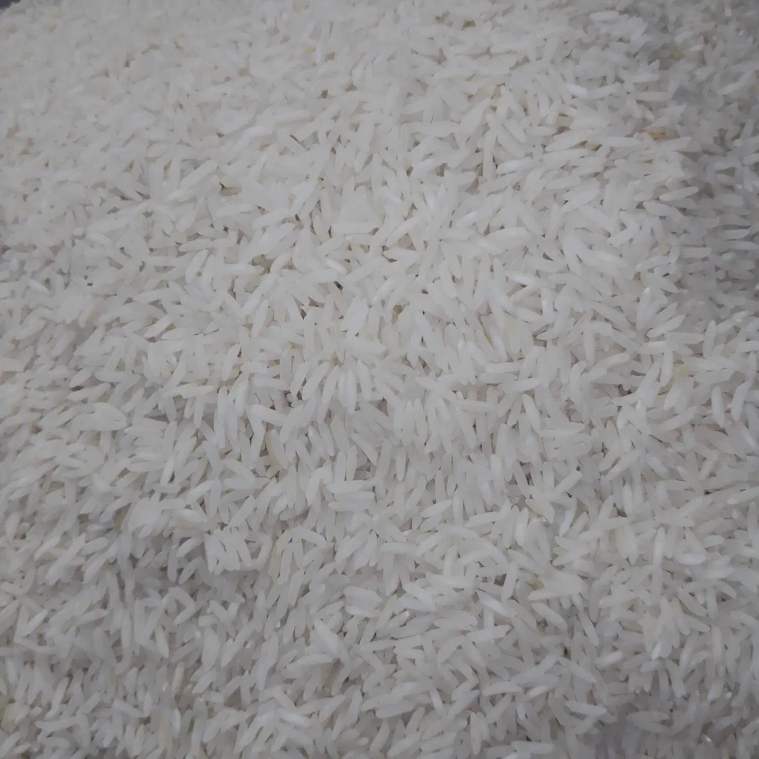 برنج طارم هاشمی //فوق العاده|خوردنی و آشامیدنی|ری, اقدسیه|دیوار