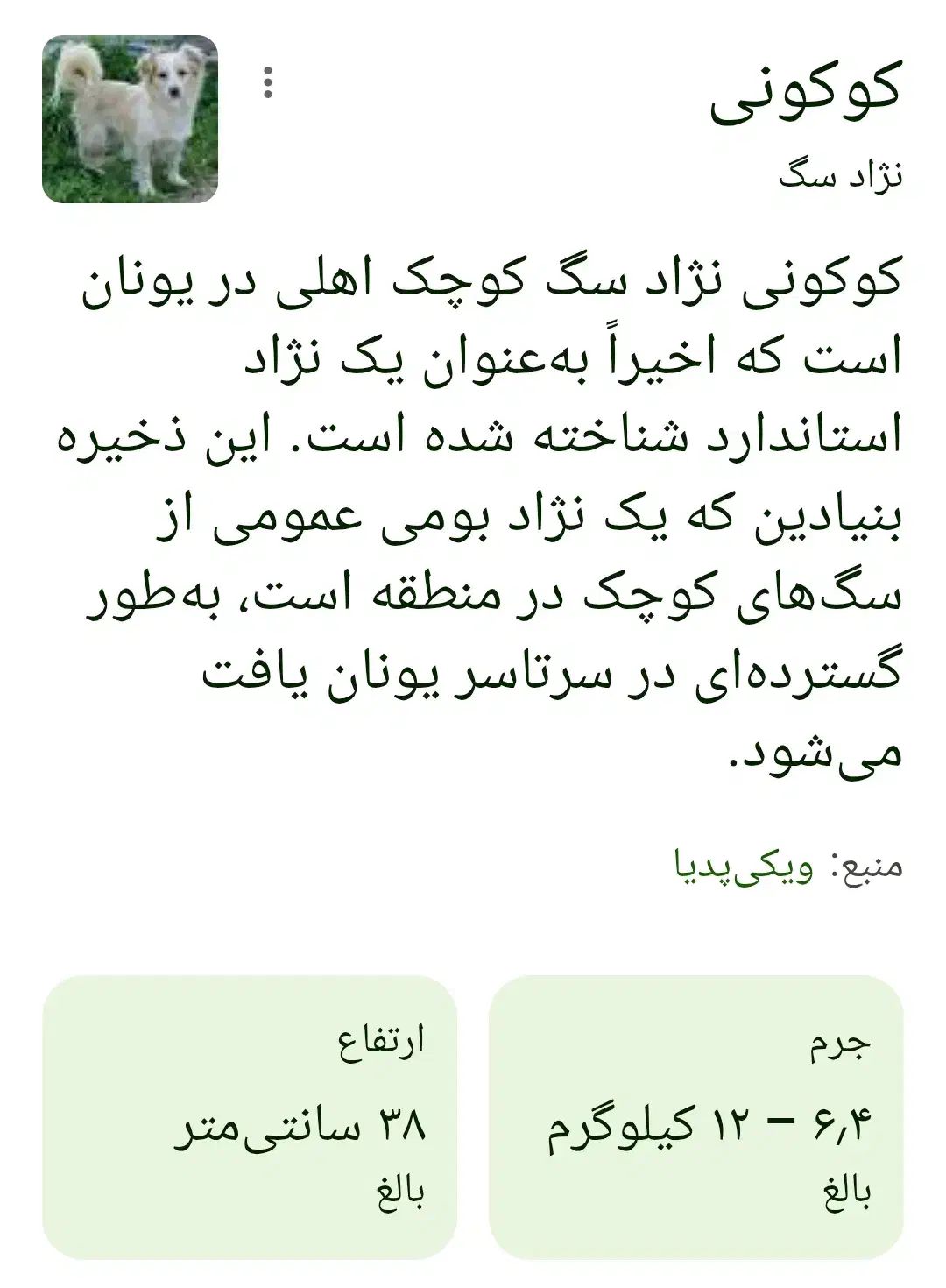 سگ باهوش|سگ|یاسوج, |دیوار