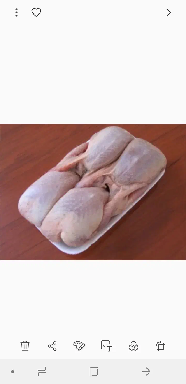 گوشت بلدرچین|خوردنی و آشامیدنی|تربت‌حیدریه, یحیی آباد|دیوار