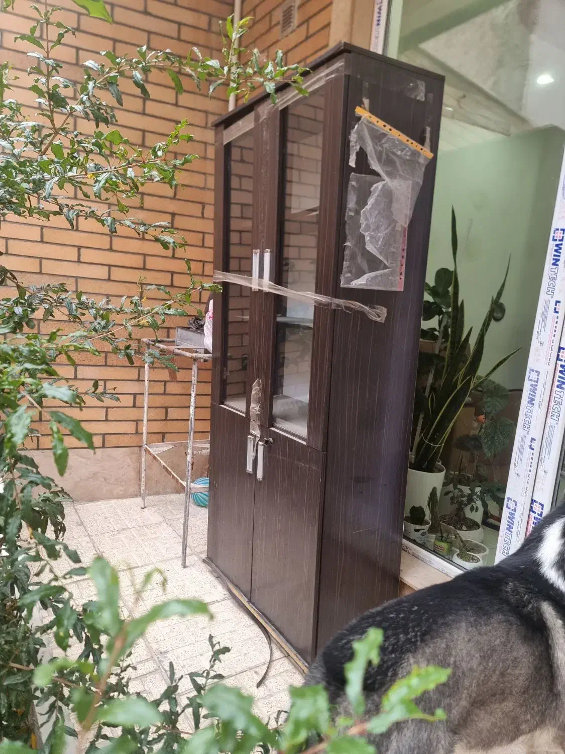 کمد کتاب|کتابخانه، شلف، قفسه‌های دیواری|تبریز, |دیوار