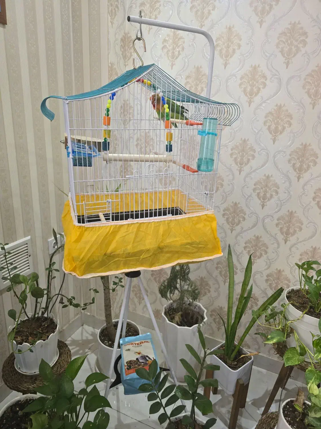 قفس و پایه قفس مدرن مناسب دکور خانه و پرنده|لوازم جانبی حیوانات|اهواز, سپیدار|دیوار