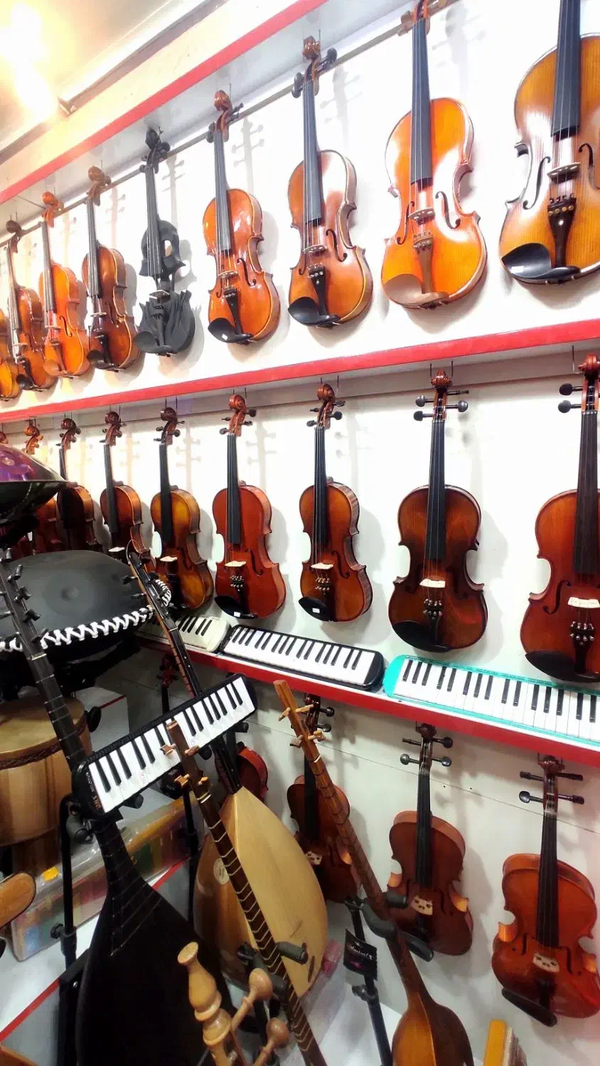 ویولن ویالون مرکز اصلی پخش( فروشگاه آرتا ساز )|ویولن|اردبیل, |دیوار