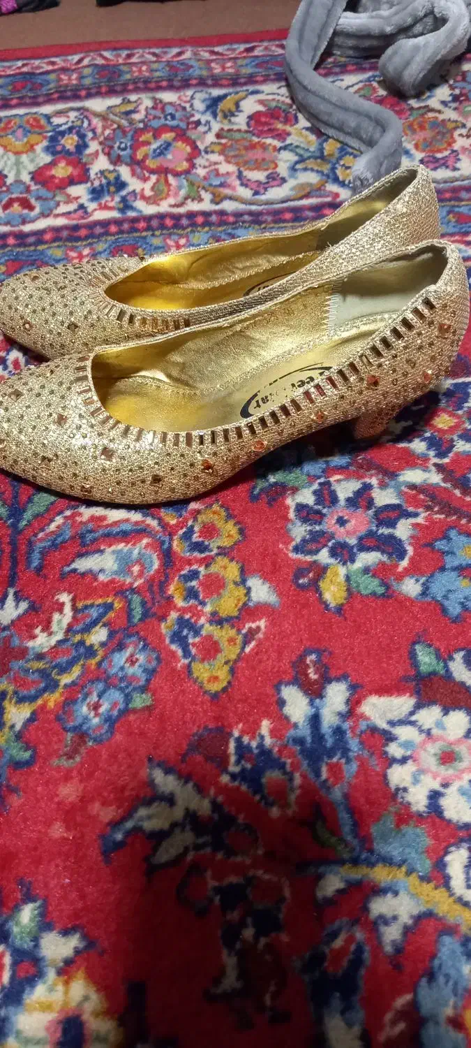 کفش|کیف، کفش، کمربند|همدان, |دیوار