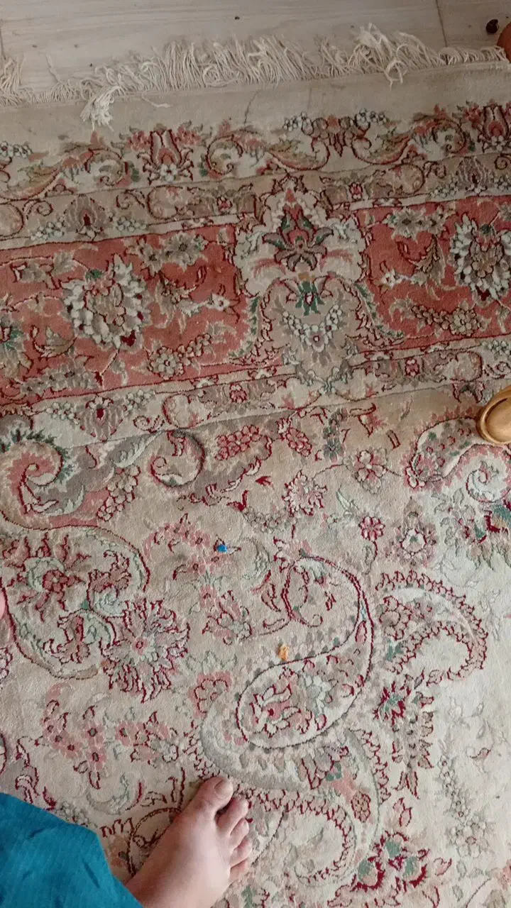 فرش ۱۲متری۲عدد|فرش|رضویه, |دیوار