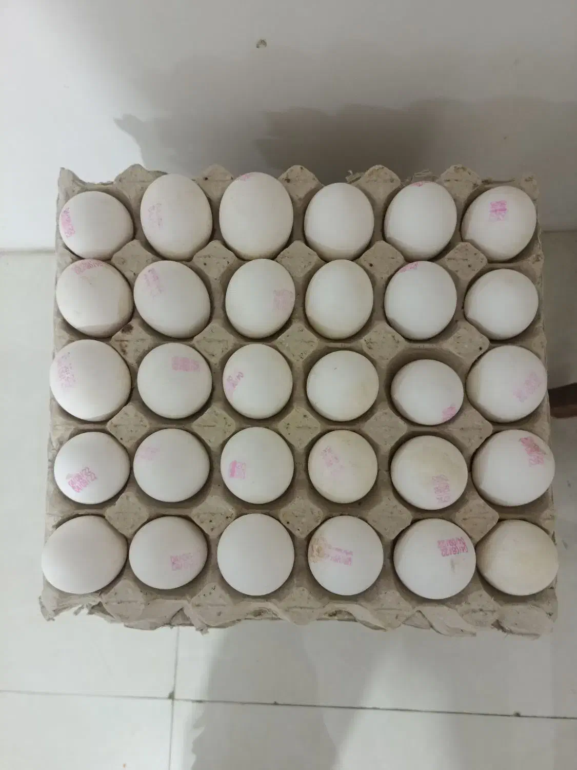 تخم مرغ وزن. 10 کیلو کودی|خوردنی و آشامیدنی|بهارستان, |دیوار
