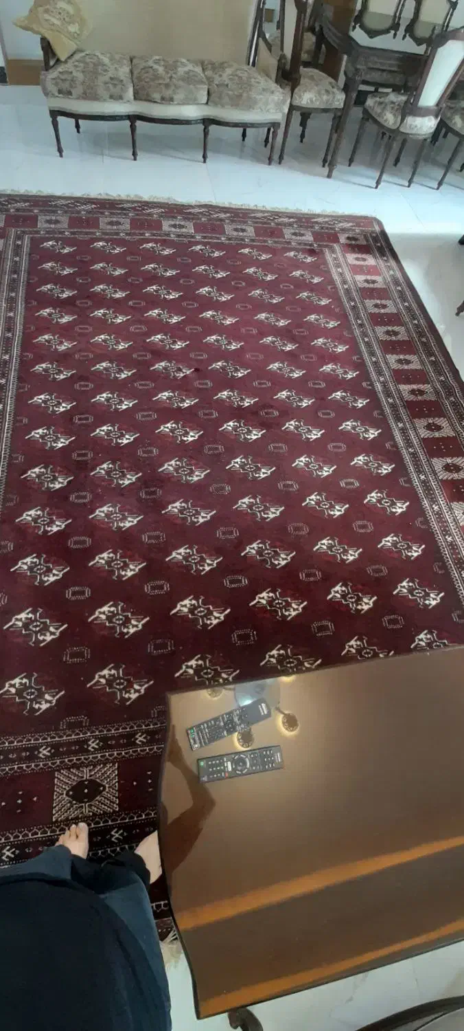 فرش دستبافت|فرش|قائمشهر, |دیوار