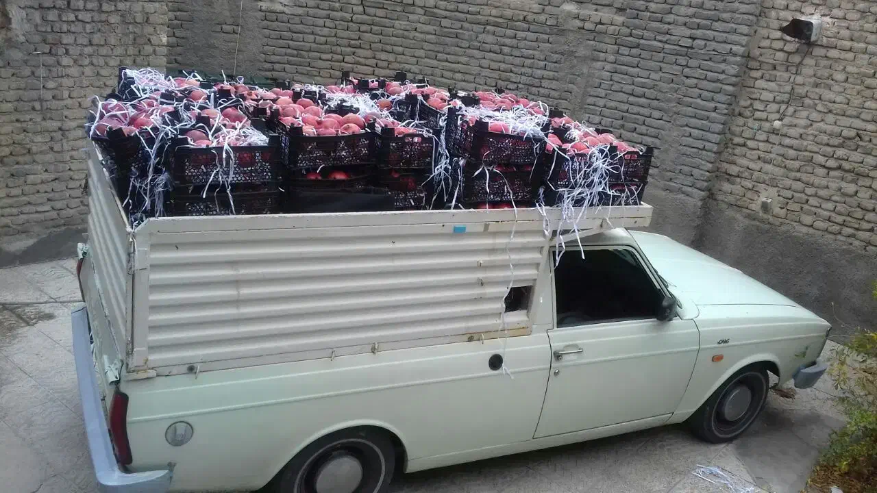 پیکان وانت باربری، نیازمند هرچقدر میتونه بده|خدمات حمل و نقل|ارومیه, |دیوار