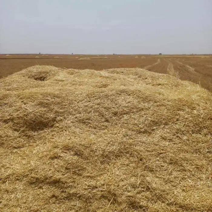 کاه|لوازم جانبی حیوانات|چاراویماق, |دیوار