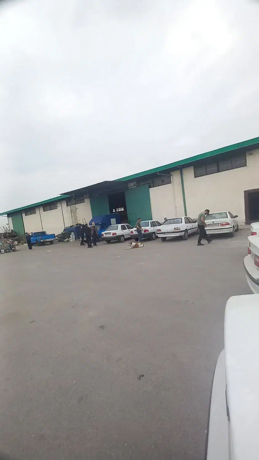 سوله ۱۲۰۰متری با برق ۹فاز ۲۰۰ امپر سردخانه ایی|اجارهٔ دفتر صنعتی، کشاورزی، تجاری|آمل, |دیوار