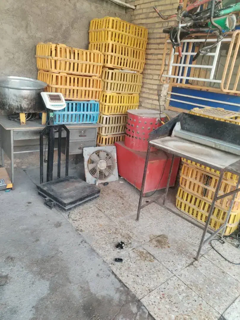 وسایل مرغی فروش فوری|فروشگاه و مغازه|شوشتر, |دیوار