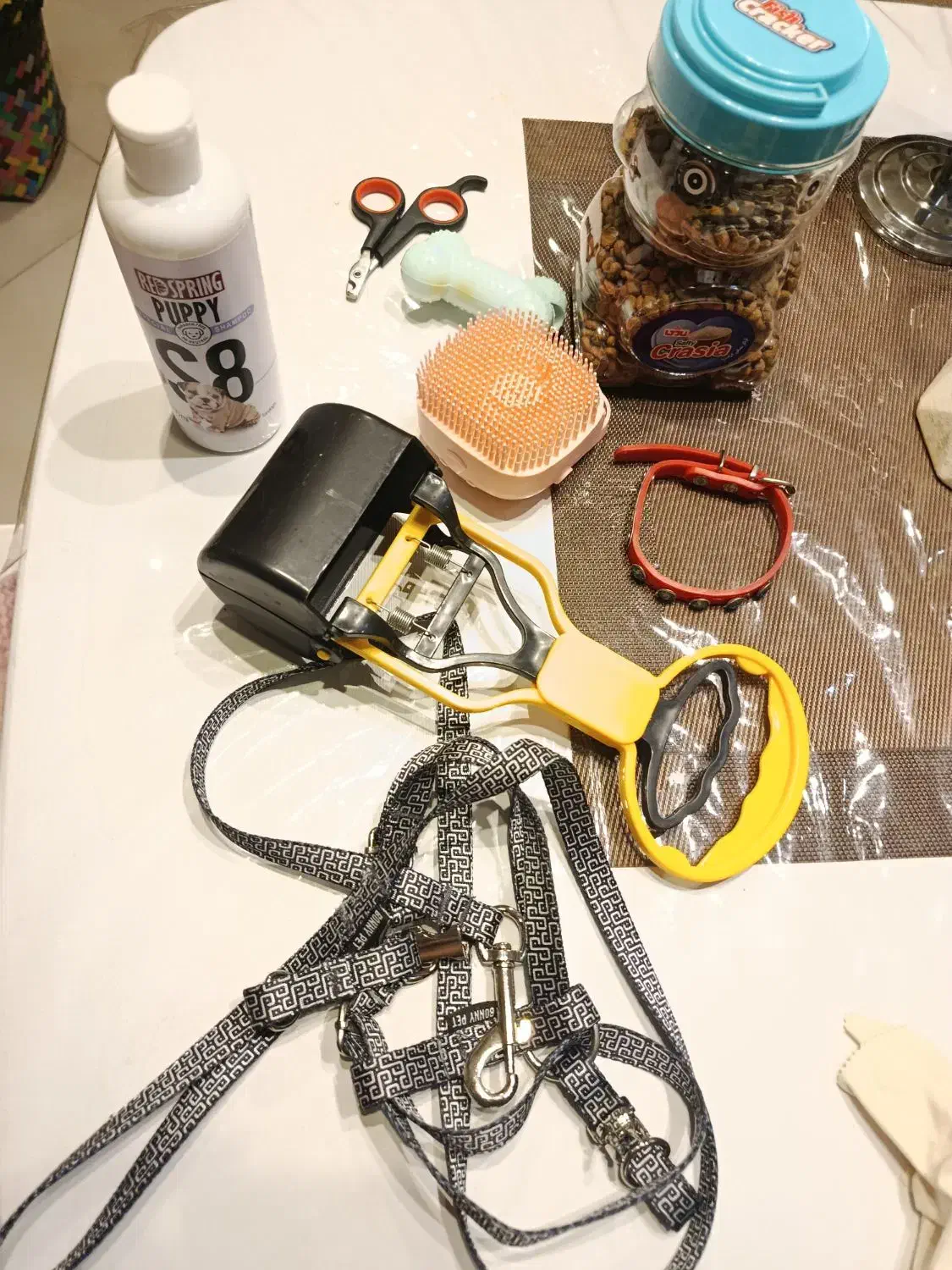 وسایل سگ پت|لوازم جانبی حیوانات|مشهد, نیروی هوایی|دیوار