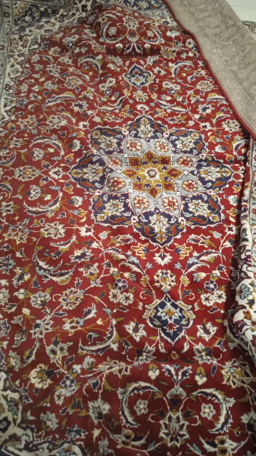 فرش ۶ متری تمیز و سالم|فرش|بهار, |دیوار