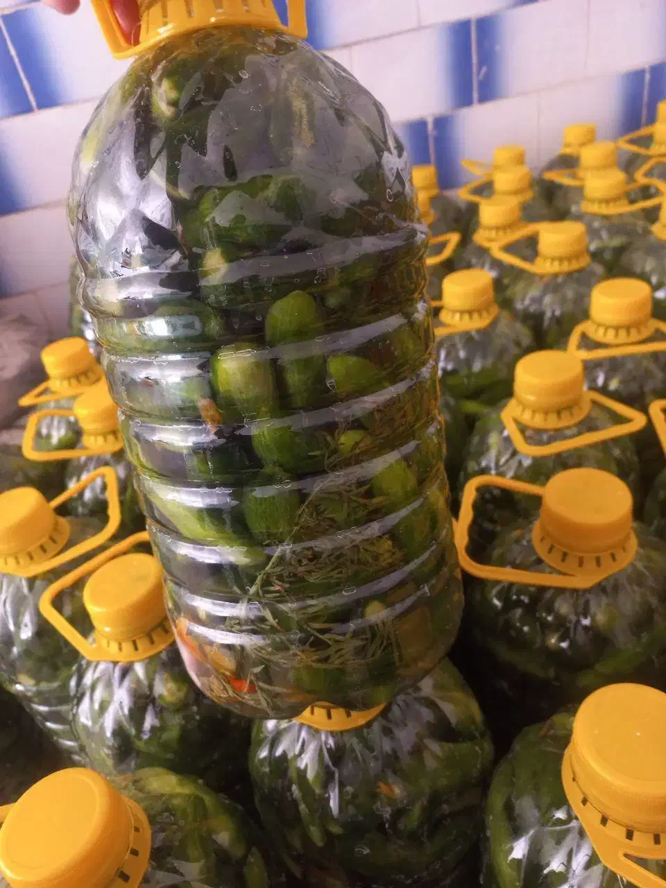 خیار شور سرکه نمکی|خوردنی و آشامیدنی|تهران, شهید فکوری|دیوار