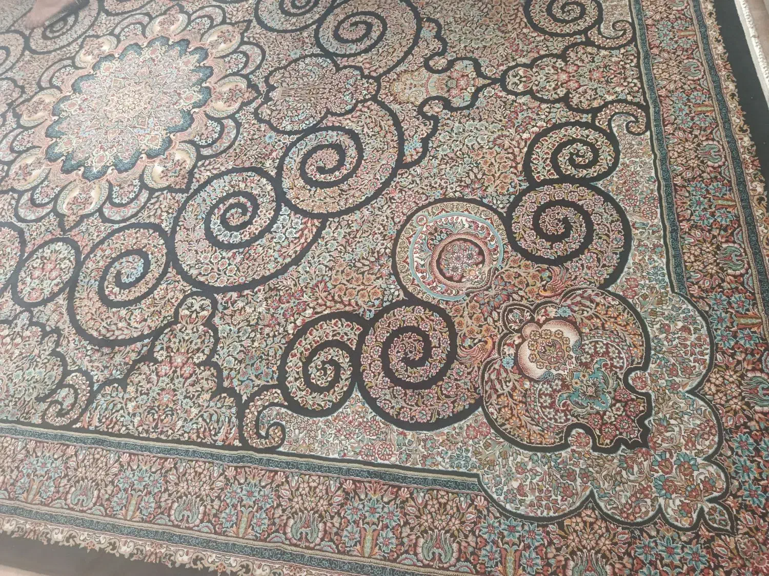 قالی ۱۲مترب|فرش|شهرکرد, |دیوار