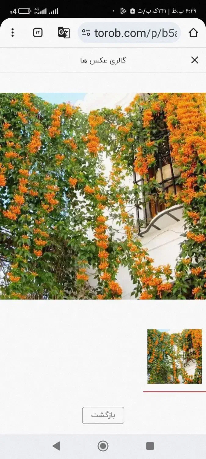 سمپاشی تخصصی|خدمات نظافت|ایلام, |دیوار