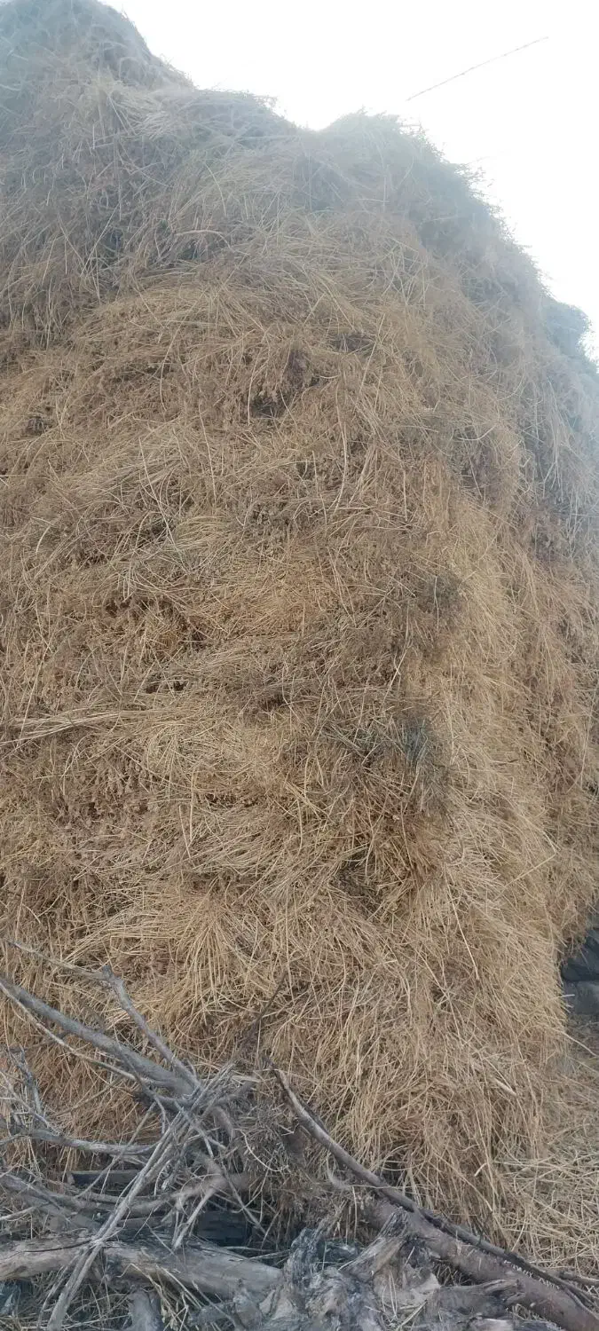 یونجه|لوازم جانبی حیوانات|مشگین شهر, |دیوار