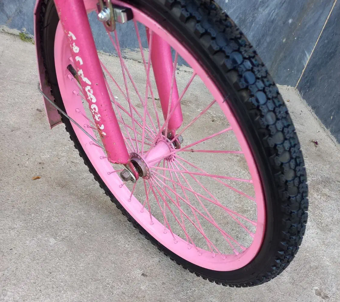 دوچرخه صورتی  سایز ۱۶ رامبو & ۲۰پرنس در حد نو|دوچرخه، اسکیت، اسکوتر|اردبیل, |دیوار