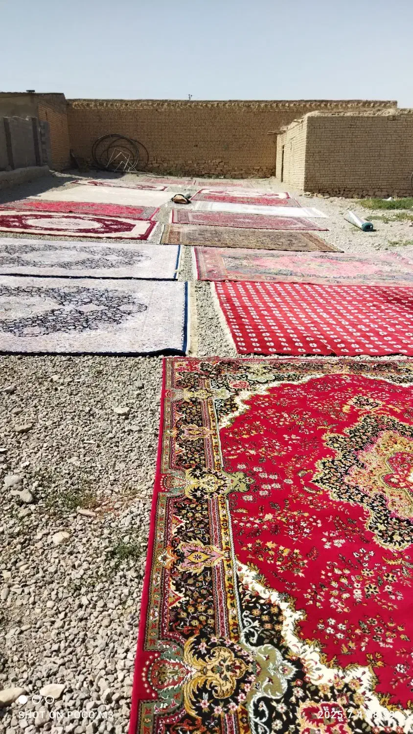 قالیشوی|خدمات نظافت|شیروان (خراسان), |دیوار