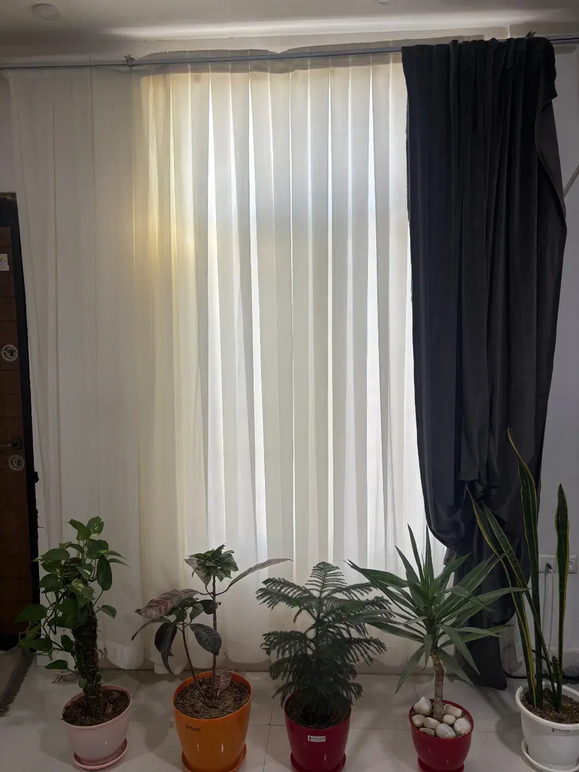 پرده|پرده، رانر، رومیزی|سیرجان, |دیوار