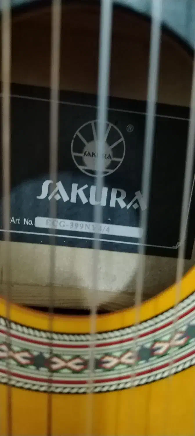 گیتار ساکورا ژاپنی|گیتار، بیس، امپلیفایر|ایلام, |دیوار