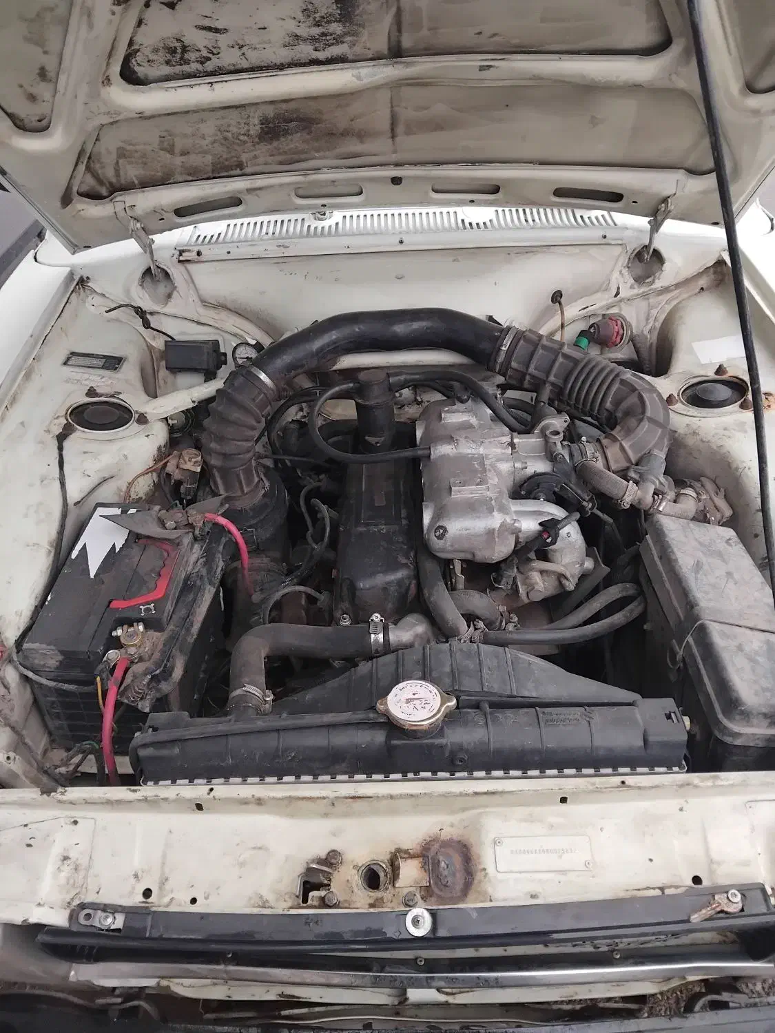 295|خودرو سواری و وانت|تبریز, |دیوار