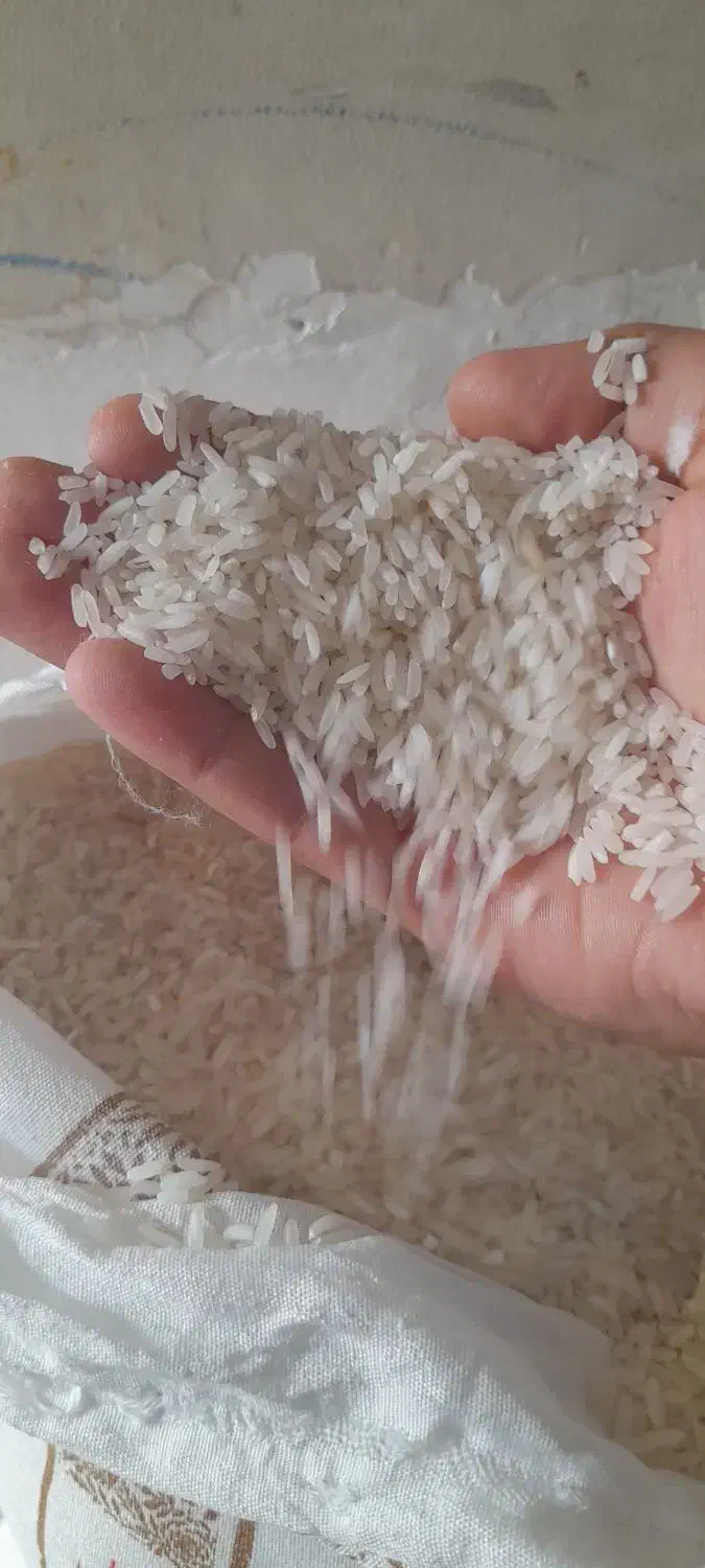 برنج فجر اعلا|خوردنی و آشامیدنی|شهریار, رضی آباد بالا|دیوار