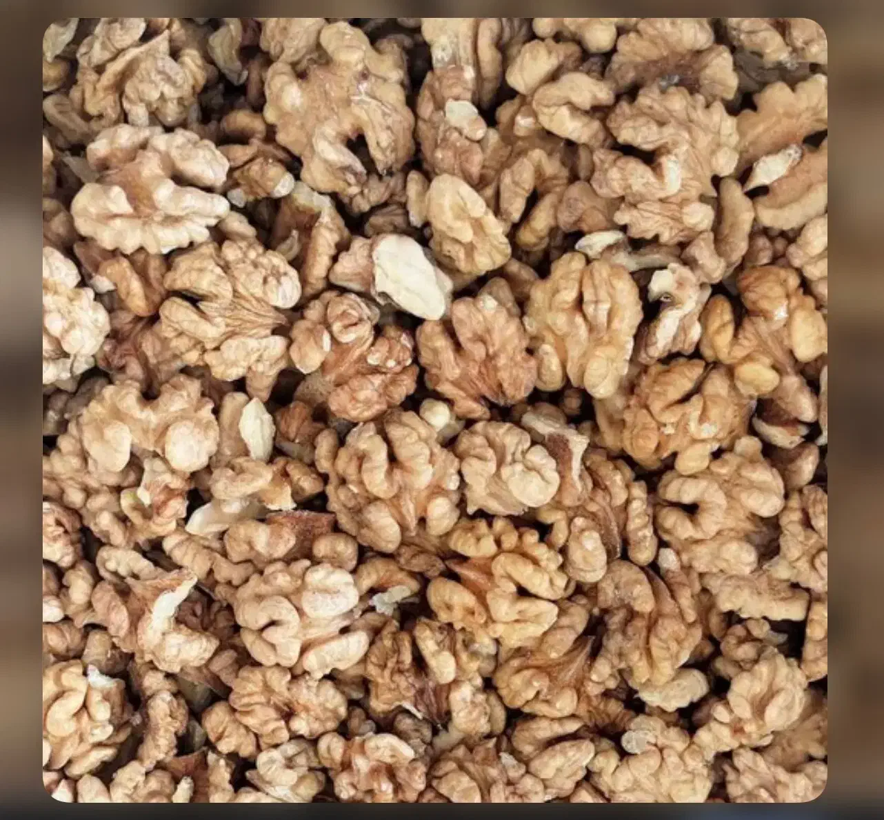 گردو چرب شهریار|خوردنی و آشامیدنی|تهران, شهرک آزادی|دیوار