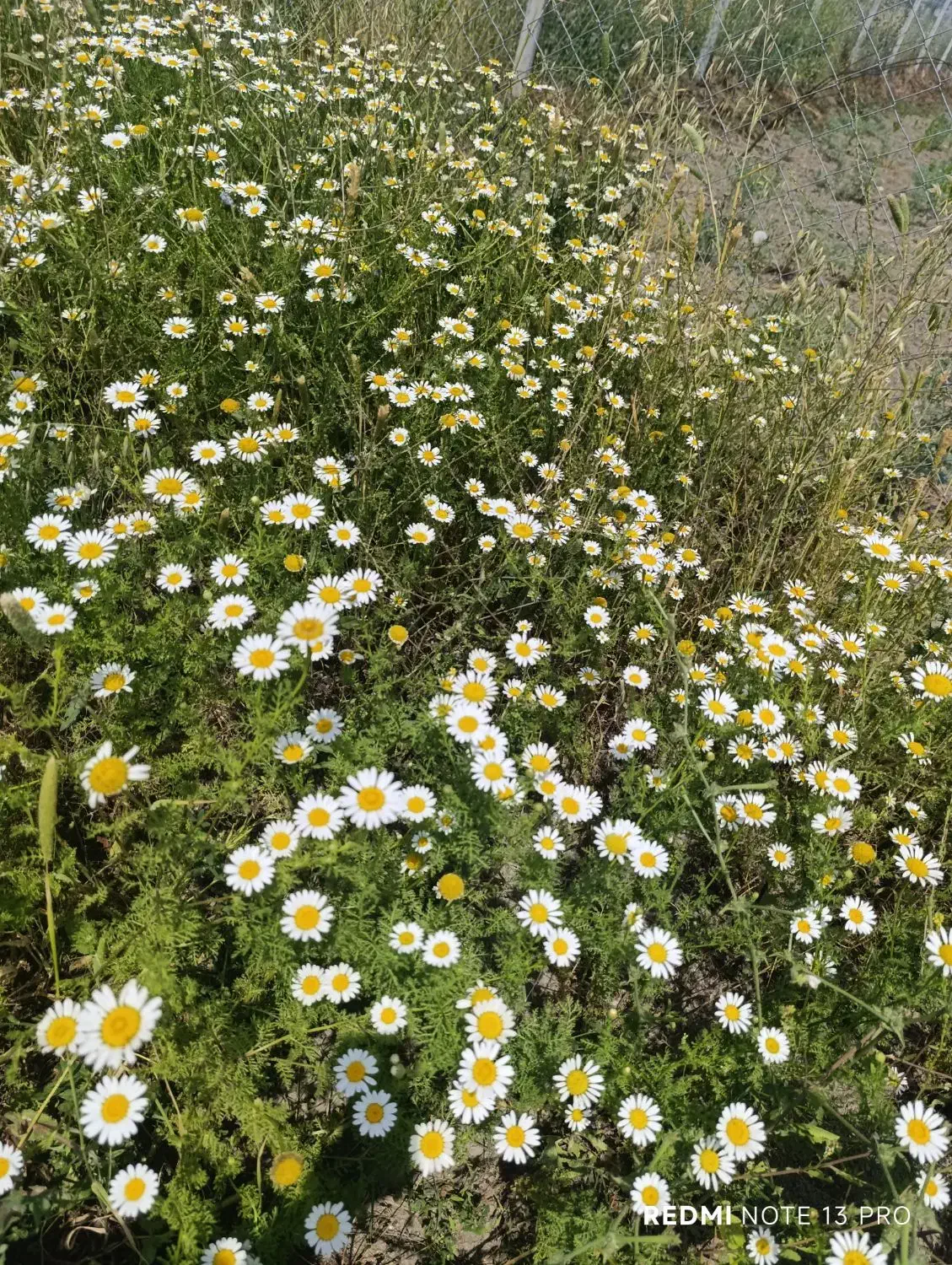 ختم قرآن|خدمات پذیرایی، مراسم|گرگان, |دیوار