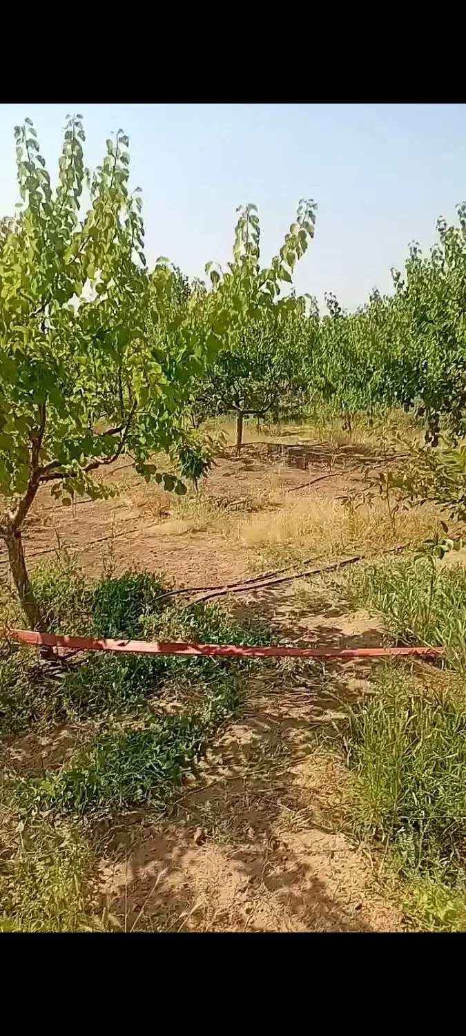 فروش خانه باغ وباغ|فروش خانه و ویلا|جلفا, |دیوار