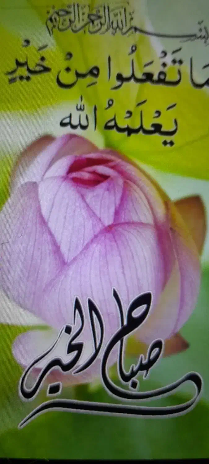 وسیله|پشتی|اهواز, اهواز|دیوار