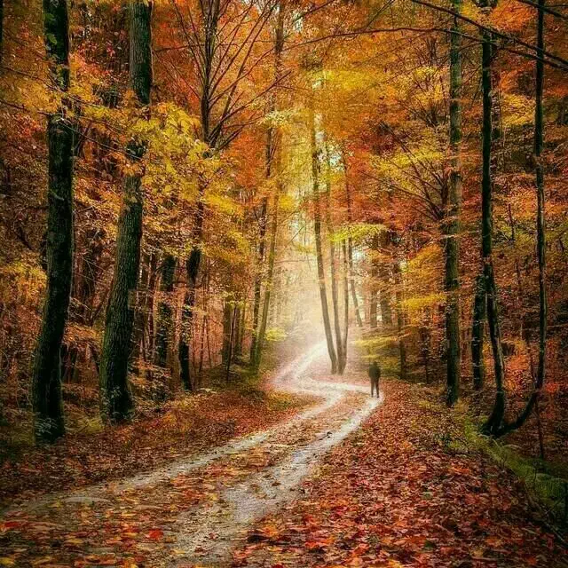 ۰۹۲۰۴۵۵۵۱۵۵|سیم‌کارت|قم, نیروگاه|دیوار