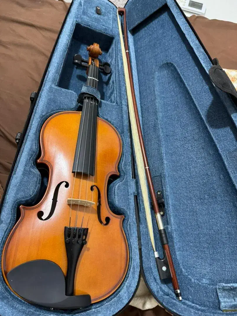 ویولون|ویولن|بوشهر, |دیوار