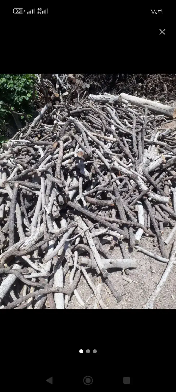 چوب بری|خدمات باغبانی و درختکاری|فلاورجان, |دیوار