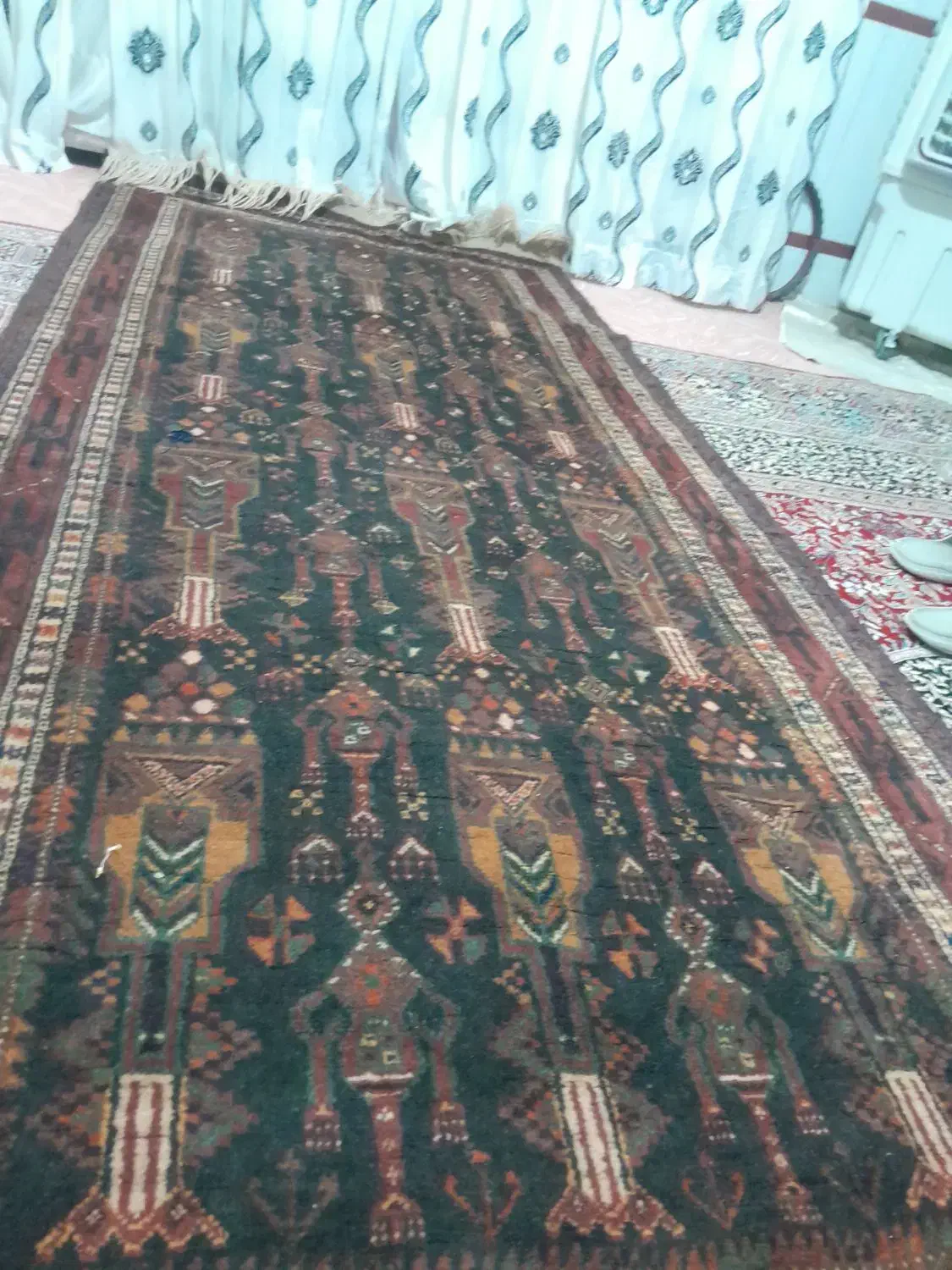 فرش دستباف اصیل زابلی|فرش|زابل, |دیوار