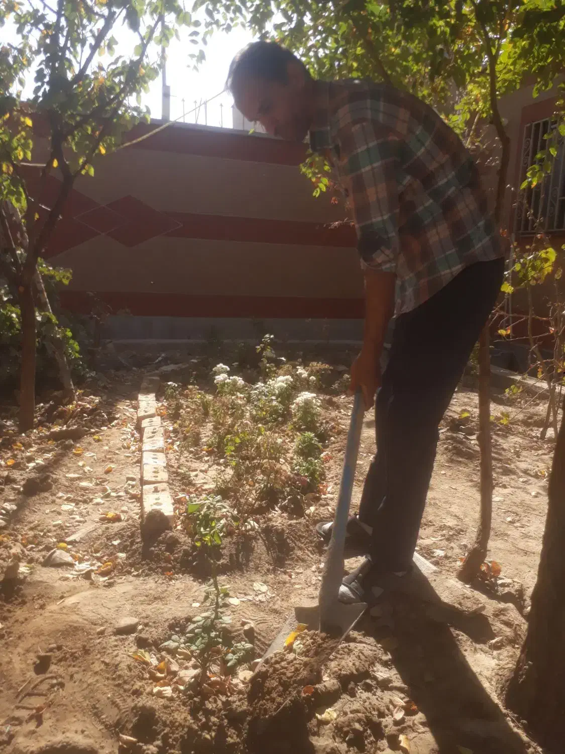 نظافت منزل و اداری و باغ و سایر|خدمات نظافت|مشهد, طلاب|دیوار