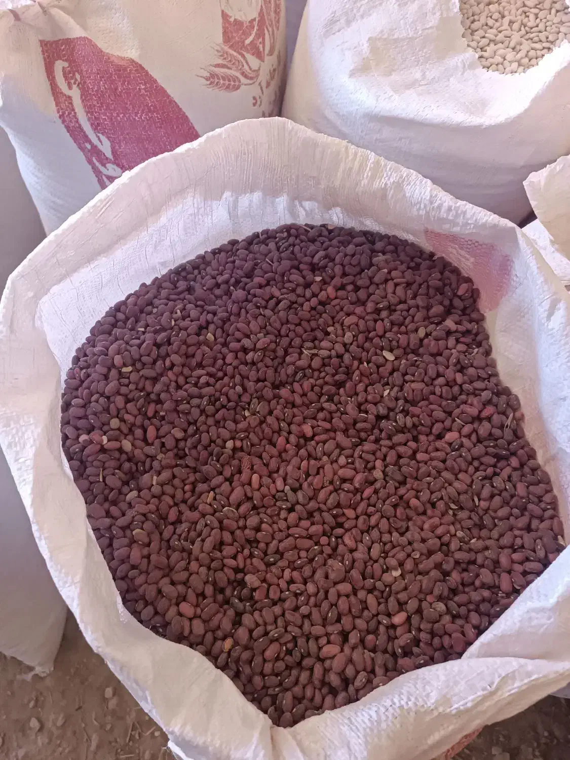 لوبیا قرمز درجه یک|خوردنی و آشامیدنی|کیار, |دیوار