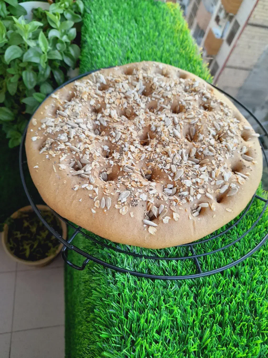 نان جو خونگی|خوردنی و آشامیدنی|مشهد, هنرور|دیوار