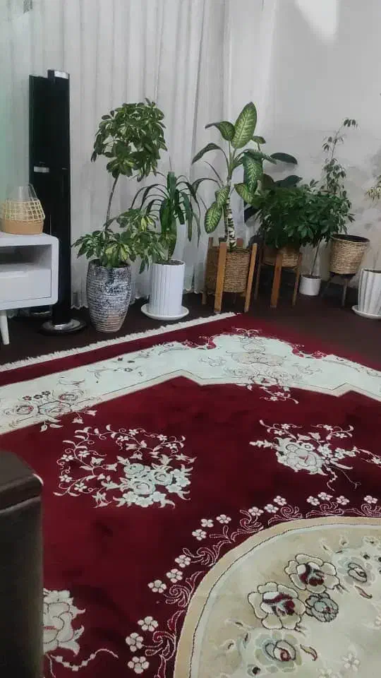 پرده حریر درحدنو۳۵۰۰ تومن وجاکفشی نوهم ۲تومن|پرده، رانر، رومیزی|ایذه, |دیوار