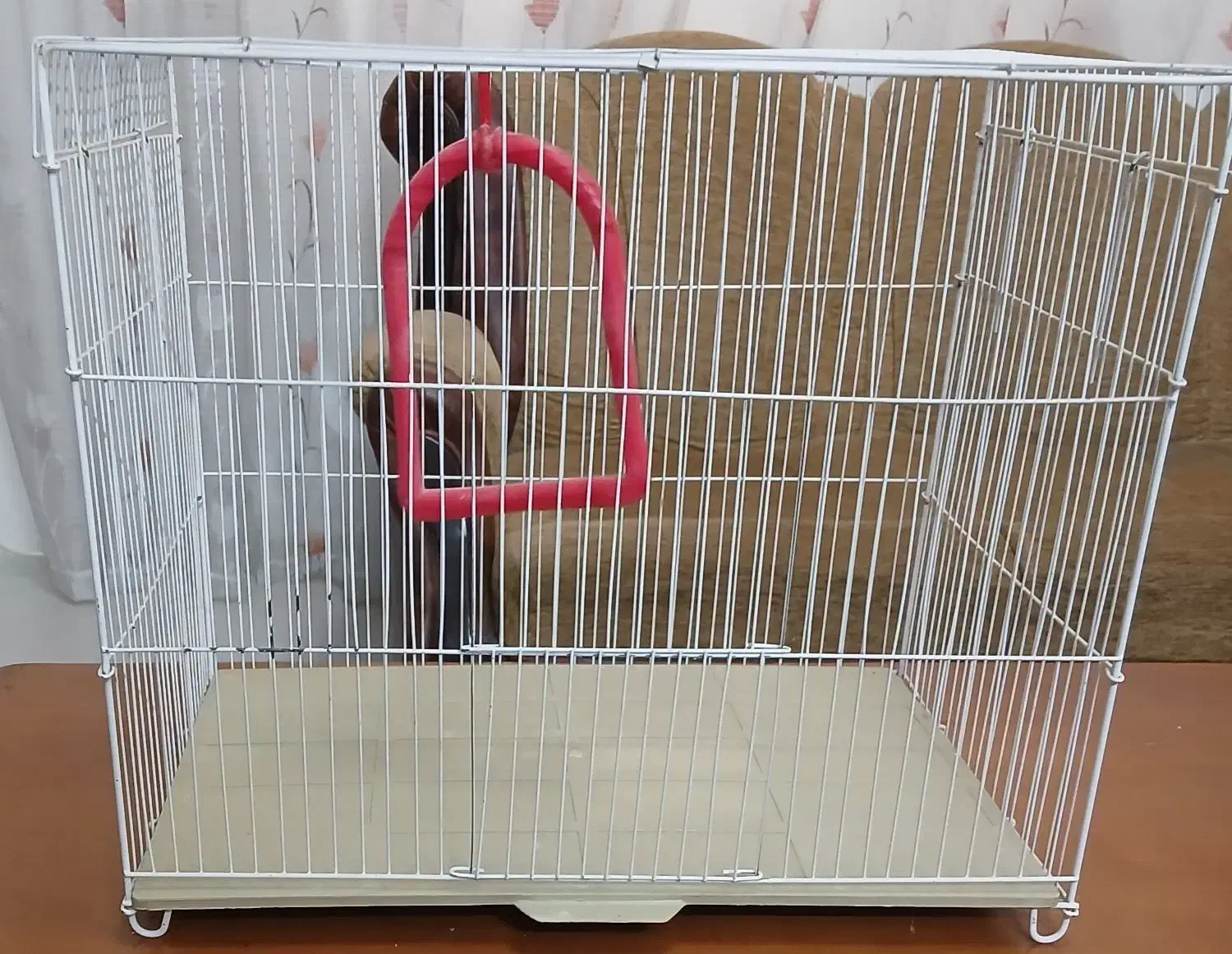 قفس پرنده|لوازم جانبی حیوانات|مشهد, چهارچشمه|دیوار