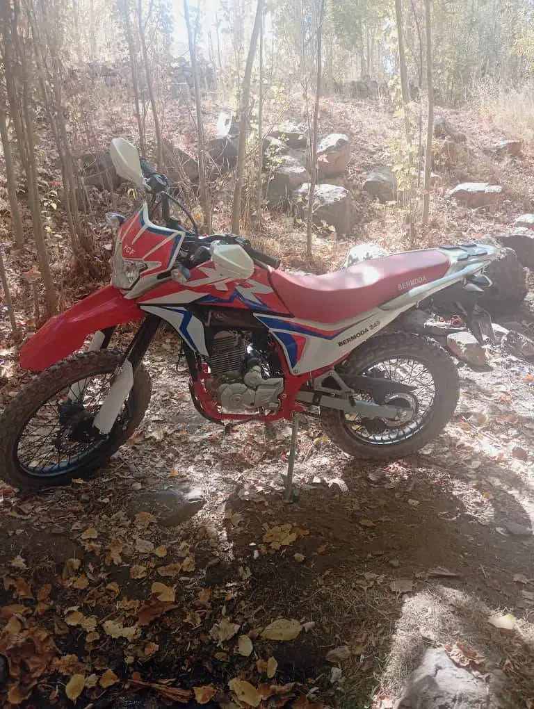 موتور برمودا|موتورسیکلت|تهران, دژکام|دیوار