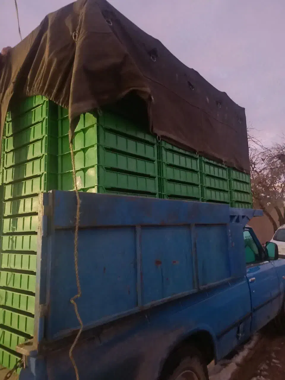 سبد میلورم نو|ظروف نگهدارنده، پلاستیکی، یک‌بارمصرف|نجف‌آباد, امیرآباد|دیوار