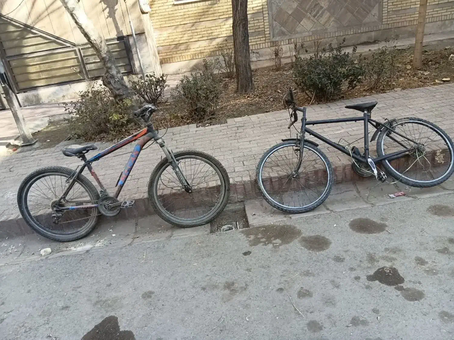 دوچرخه ۲۶ دنده ای|دوچرخه، اسکیت، اسکوتر|مشهد, یاس|دیوار