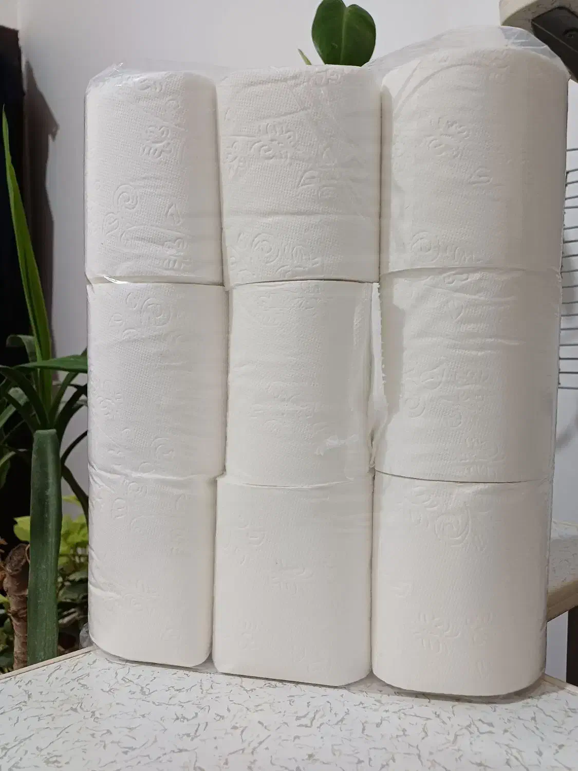 دستمال کاغذی|مواد شوینده و دستمال کاغذی|بوشهر, |دیوار