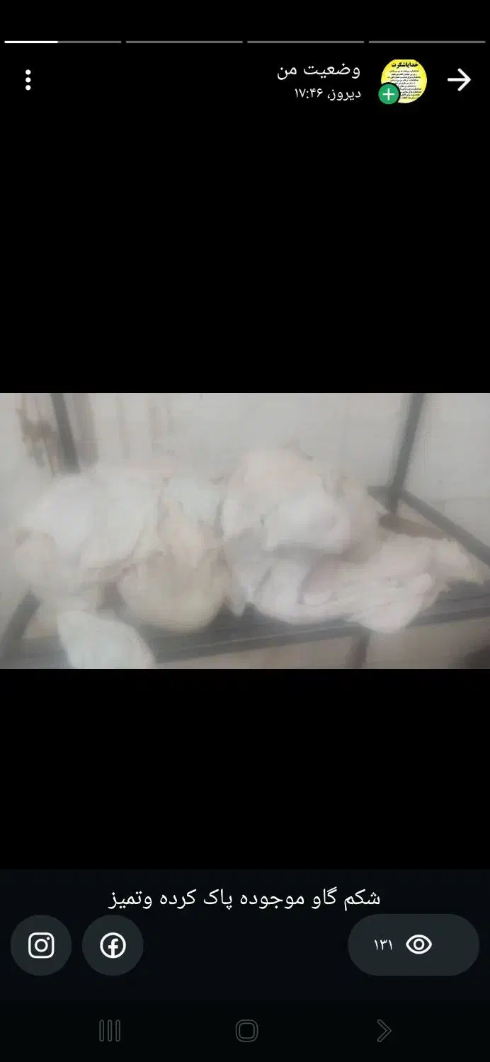 شکم گاو وماهی زنده سالمون موجوده|خوردنی و آشامیدنی|شیراز, ویلاشهر|دیوار