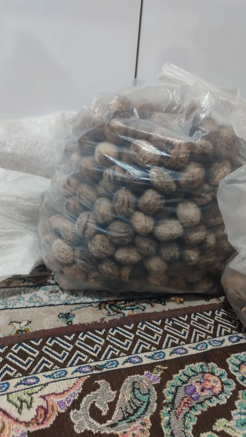 گردو|خوردنی و آشامیدنی|مشهد, شفا|دیوار