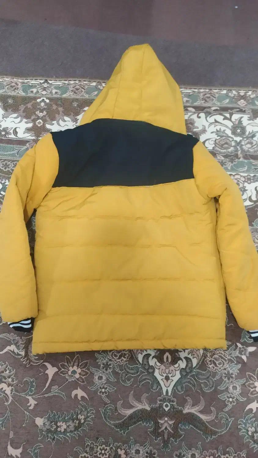 کاپشن|لباس|صفادشت, |دیوار