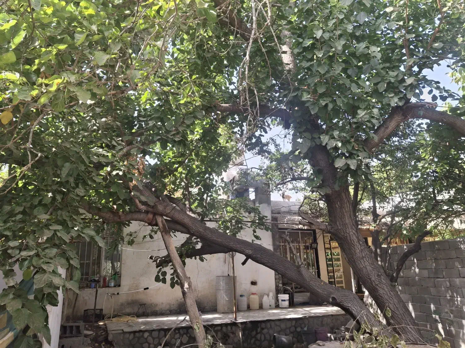 فروش|فروش خانه و ویلا|کوهسار (البرز), |دیوار