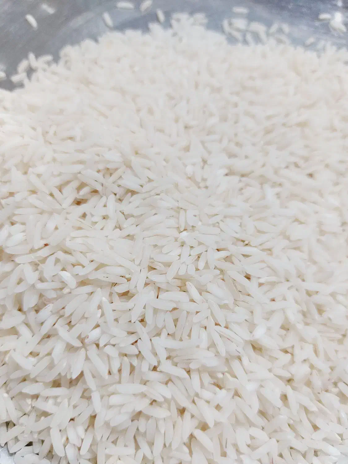 فروش برنج|خوردنی و آشامیدنی|کوچصفهان, |دیوار