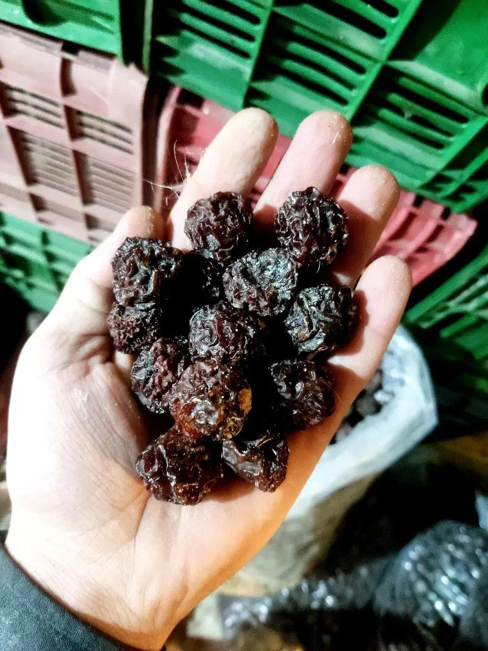 آلوچه سیاه مراغه|خوردنی و آشامیدنی|سراجو, |دیوار