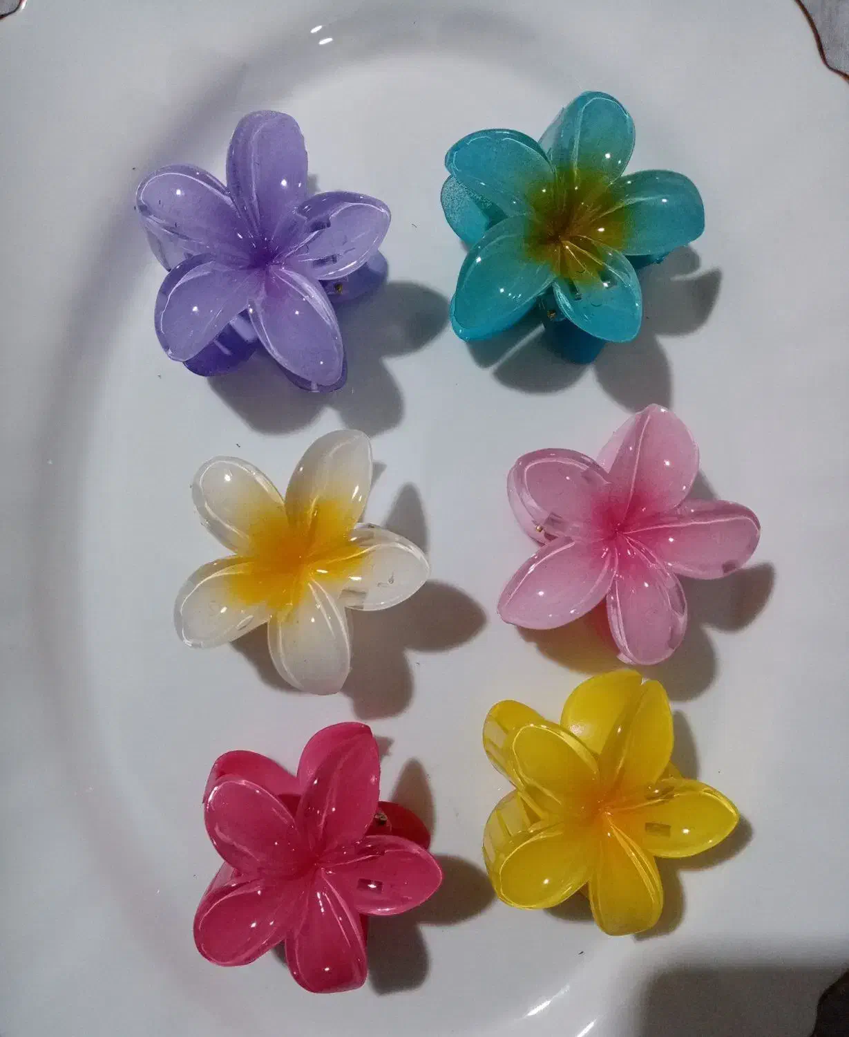 تمامی پلومریا ها ۶ سانتی فقط و فقط 30 هزار تومان|زیورآلات و اکسسوری|فیروزکوه, |دیوار